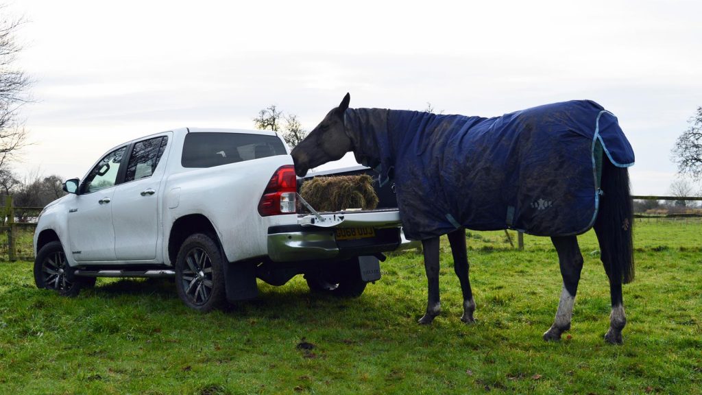 Toyota Hilux Invincible X facelift and horse