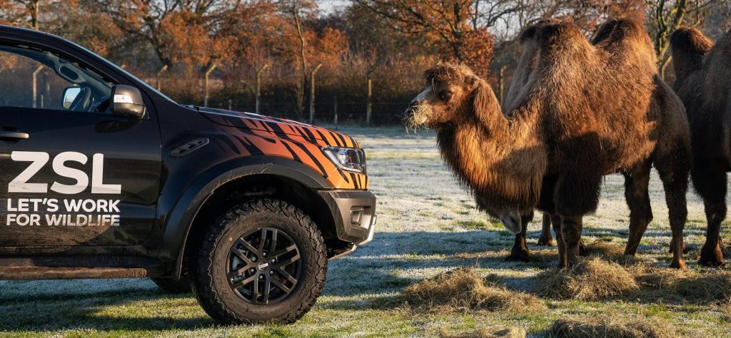 Ford Ranger Raptor at Whipsnade Zoo