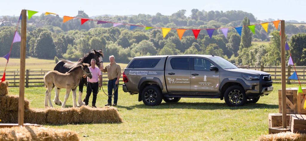 Cannon Hall Farm Toyota Hilux and Shire Horse